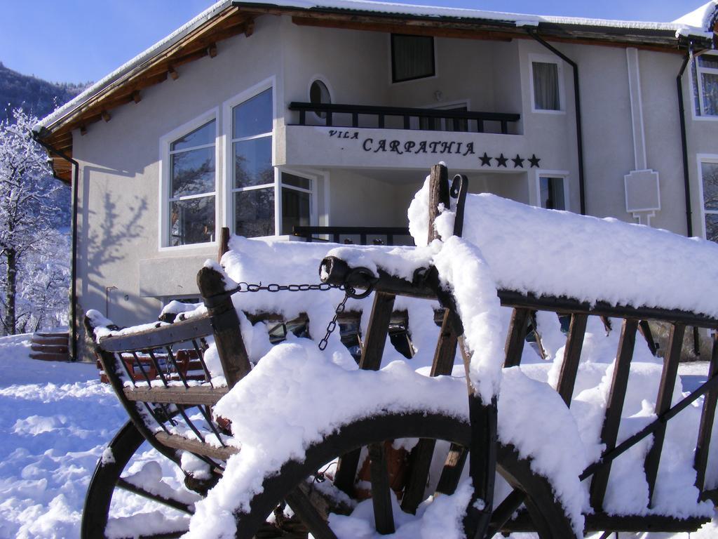 Vila Carpathia Бран Экстерьер фото