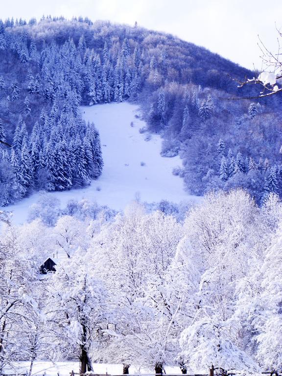 Vila Carpathia Бран Экстерьер фото
