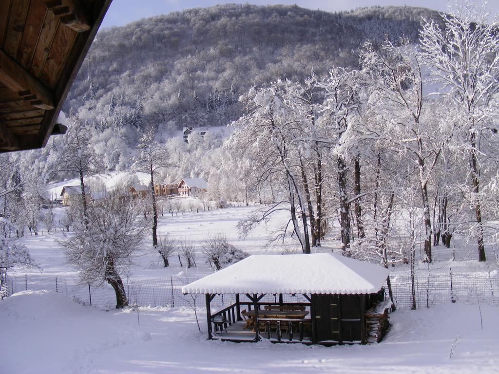 Vila Carpathia Бран Экстерьер фото